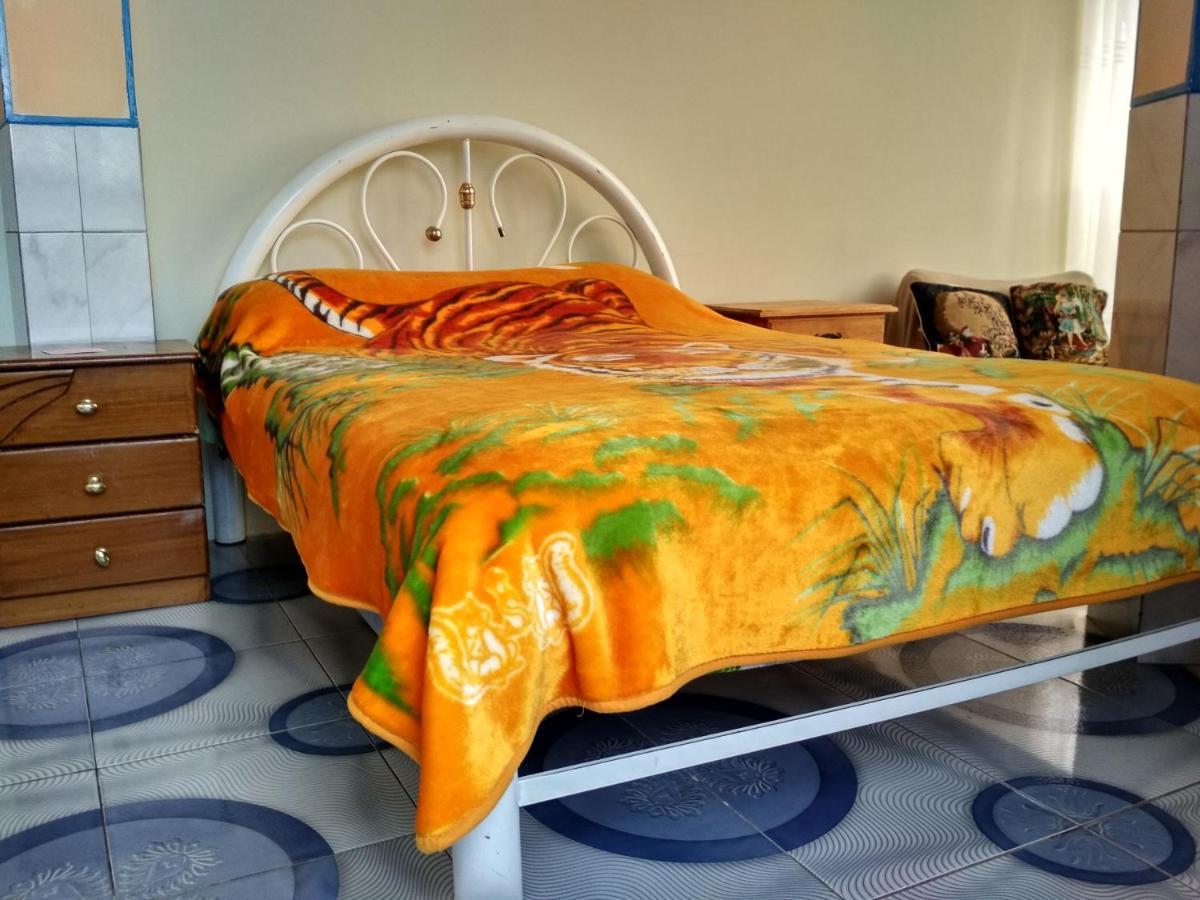 Estudio Acogedor Y Confortable